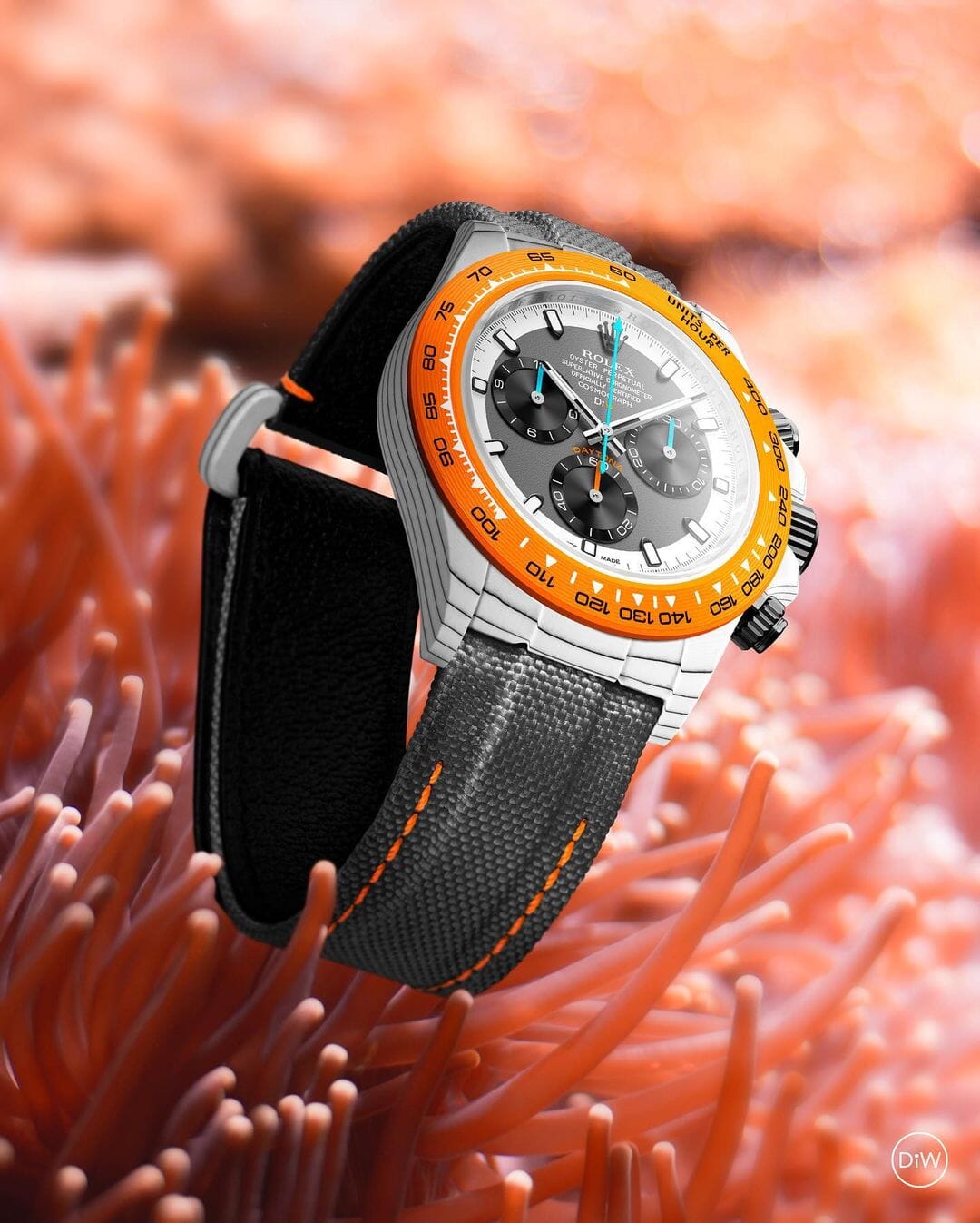 DiW Rolex Daytona OCELLARIS Quartz Fiber | WORLDTIMER